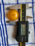 IMG_5976 - Kopie.JPG