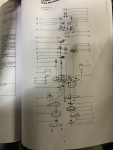 IMG_4308.jpeg